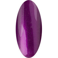 Лак для ногтей «IRISK» New Collection № 053